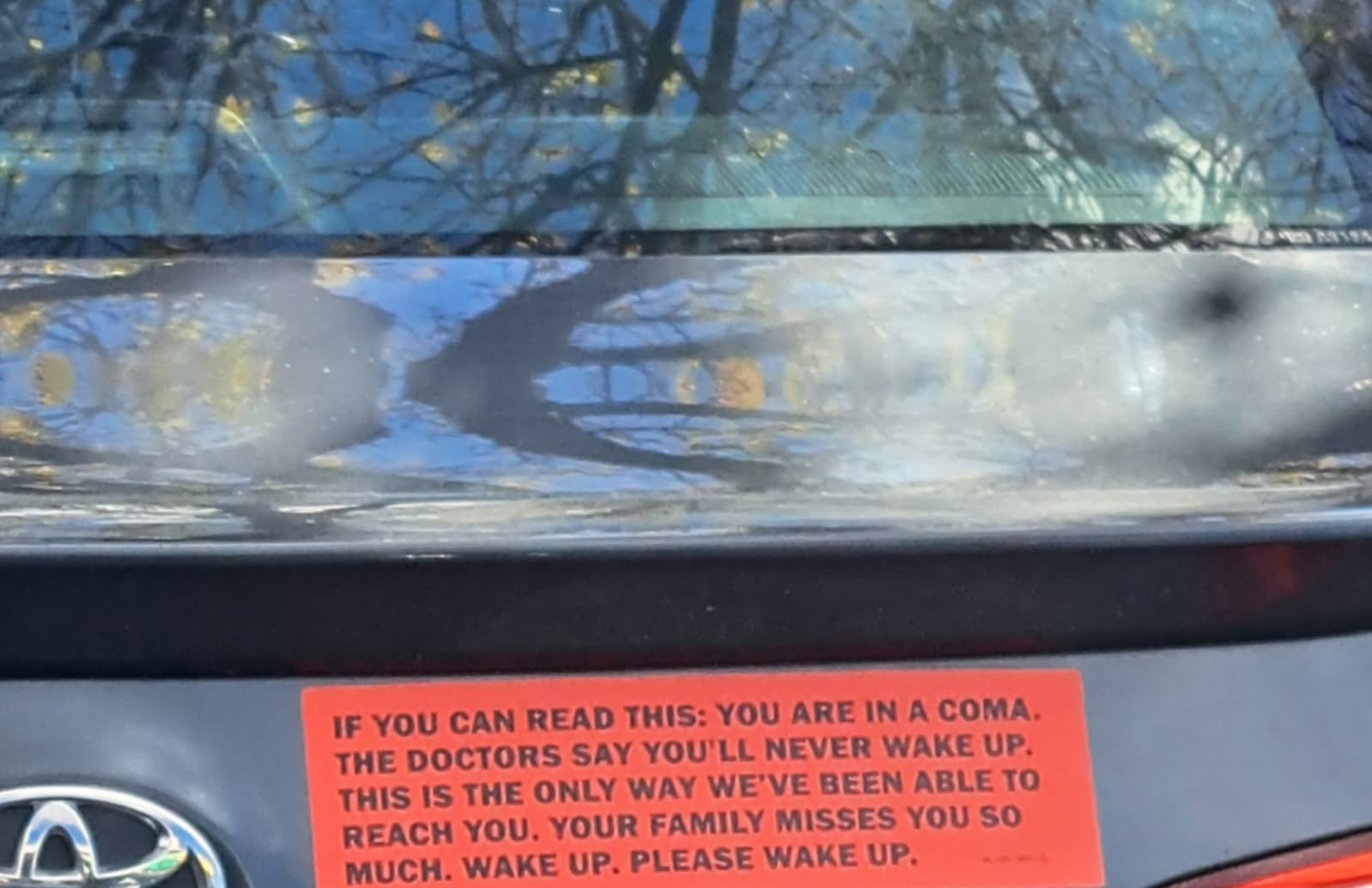 toyota camry - If You Can Read This You Are In A Coma. The Doctors Say You'Ll Never Wake Up. This Is The Only Way We'Ve Been Able To Reach You. Your Family Misses You So Much. Wake Up. Please Wake Up.